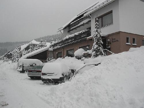 Haus Hubertus 호텔 빈터베르크 외부 사진