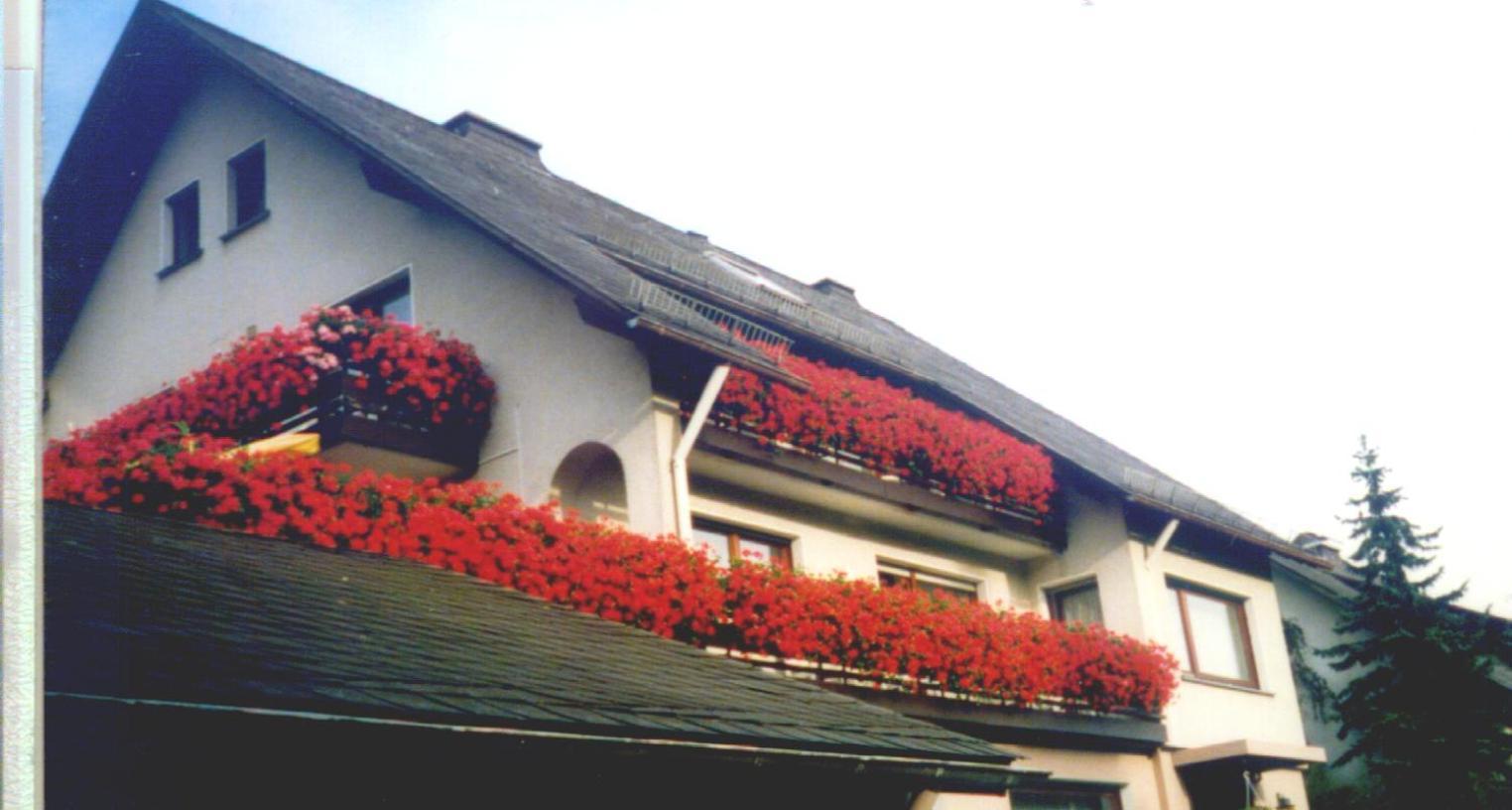 Haus Hubertus 호텔 빈터베르크 외부 사진